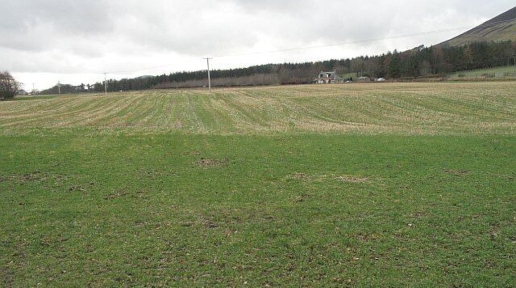 Grassland, Westside This grass field under Tinto has been mown in the past.