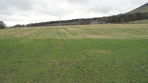 Grassland, Westside This grass field under Tinto has been mown in the past.