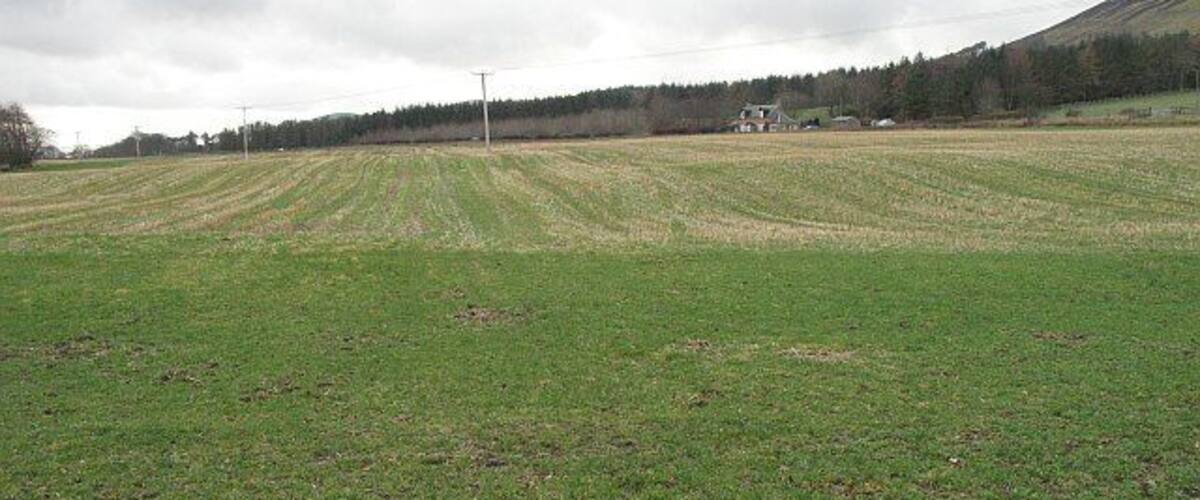 A vast green field with a farmhouse in the distance and a forested hill.