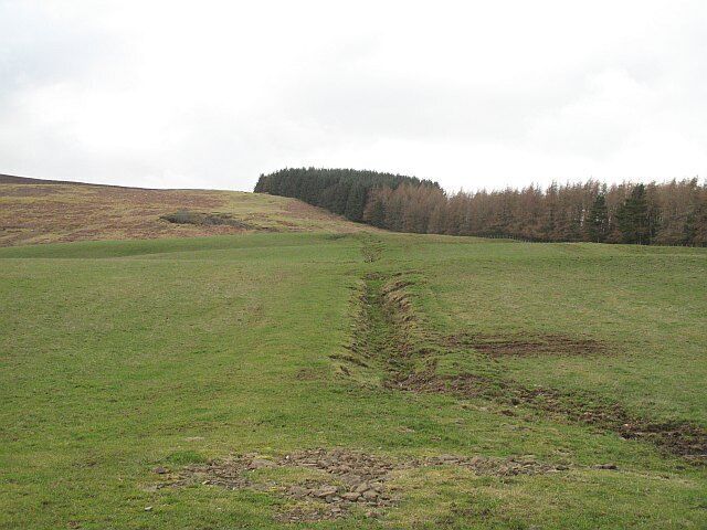 East end of Tinto, Brakenhurst Strip Fields at the eastern foot of Tinto, the start of the Scaut Hill route up the hill. Farmland at lower altitude is protected by Brakenhurst Strip.