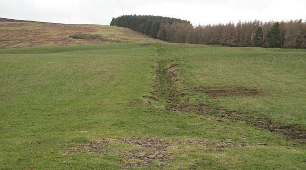 East end of Tinto, Brakenhurst Strip Fields at the eastern foot of Tinto, the start of the Scaut Hill route up the hill. Farmland at lower altitude is protected by Brakenhurst Strip.