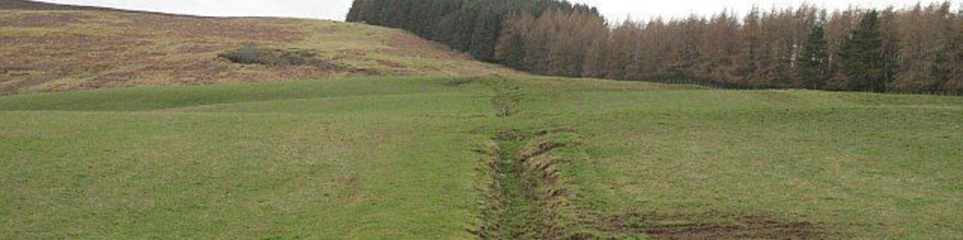 Um campo gramado com uma trilha que sobe, cercado por árvores e uma colina ao fundo.