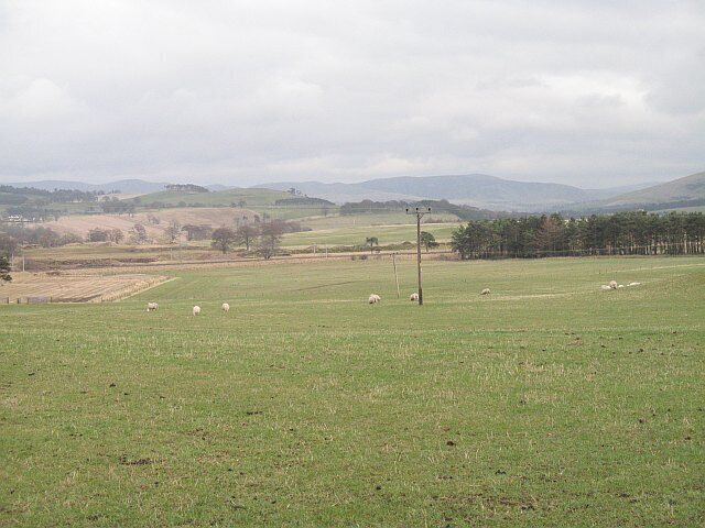Grassland, Muirhouse Sheep grazing between road and West Coast main line.