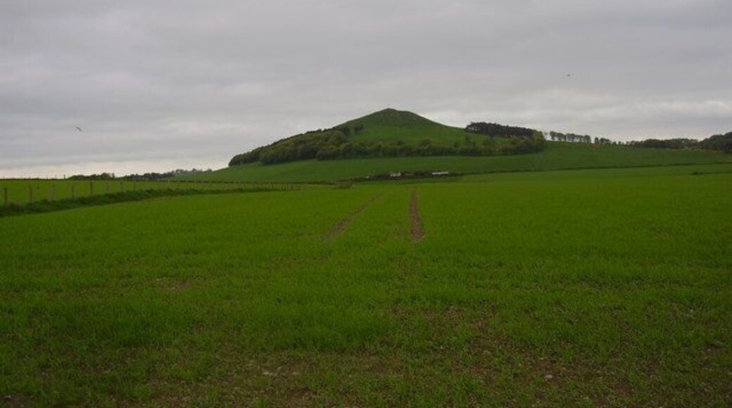 North of Annieston Grange A freshly planted field at the northern reaches of a rough road leading from the A72 near Symington. Annieston is now part of another, nearby farm as is the case with many farms in southern Scotland.