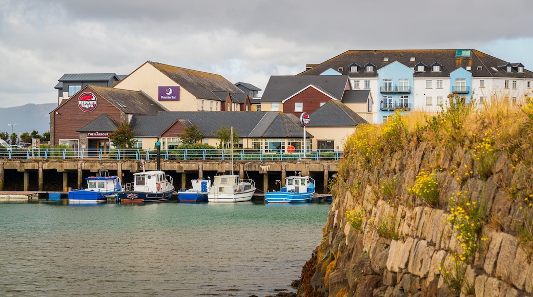 Carrickfergus showing a bay or harbor