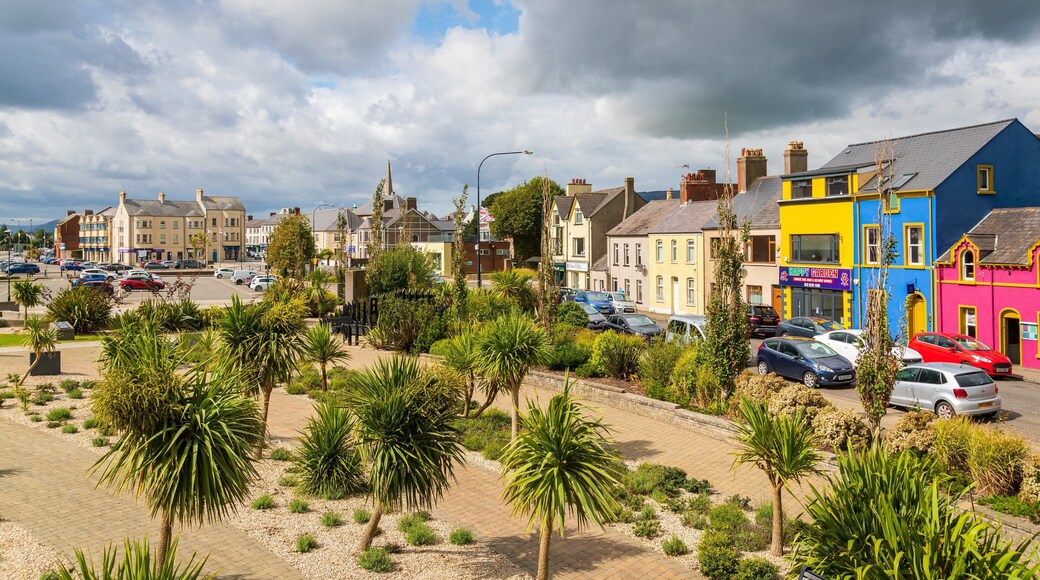 Carrickfergus which includes landscape views and a park