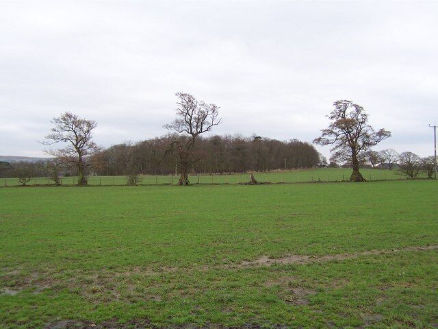 Bolton Close Plantation. Countryside of the Ribble Valley, between Bolton-by-Bowland and Gisburn