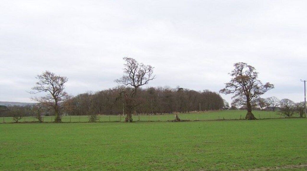Bolton Close Plantation. Countryside of the Ribble Valley, between Bolton-by-Bowland and Gisburn