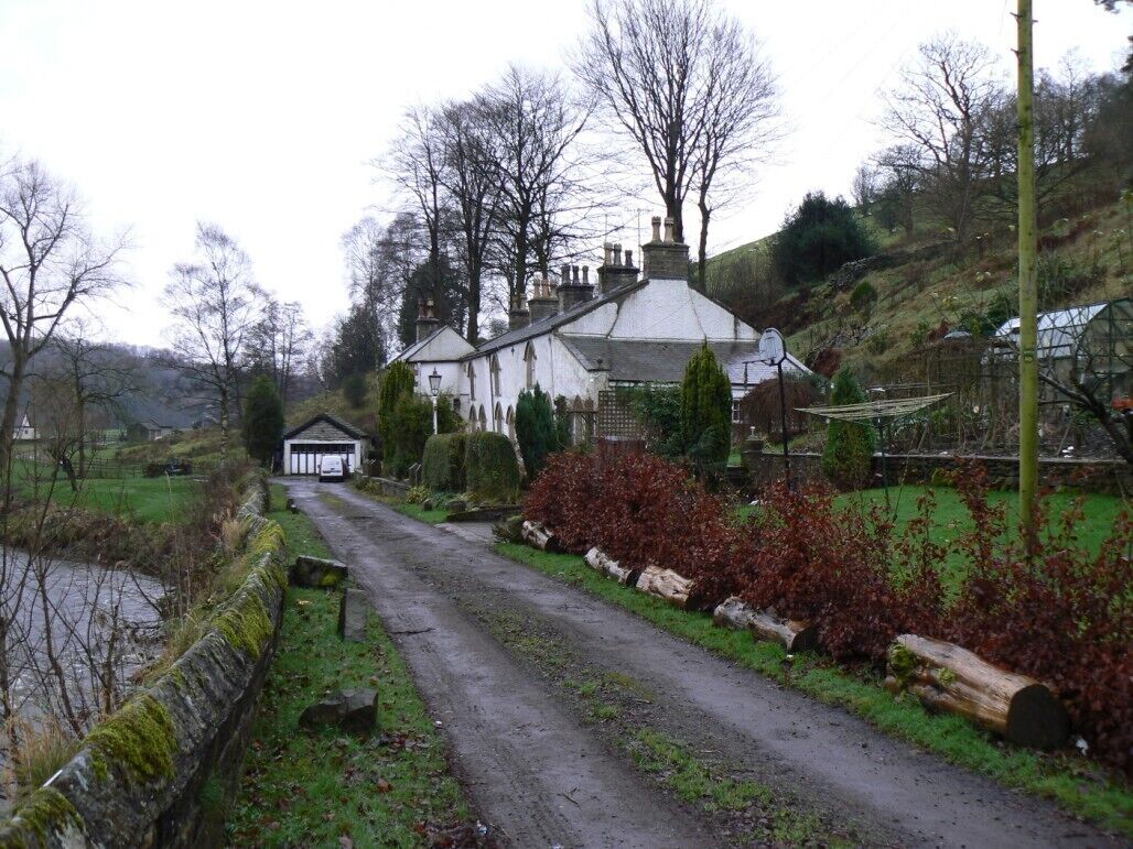 A rural road leading to a white house with a thatched roof, surrounded by trees and a small pond.