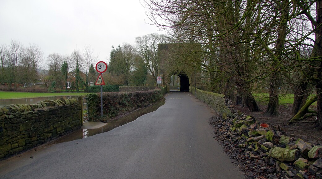 2.1.16 A Journey North