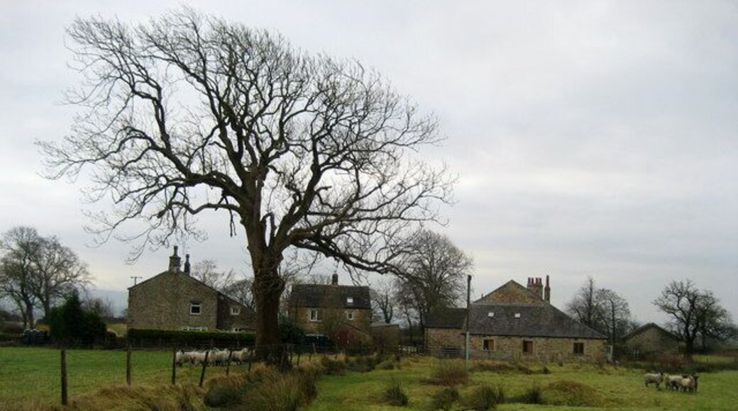 Cow Hey Approaching a cluster of renovated housing from the direction of Clough Bottom.