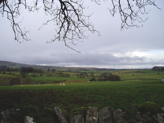 Paisaje rural con colinas ondulantes, un muro de piedra y ovejas pastando.