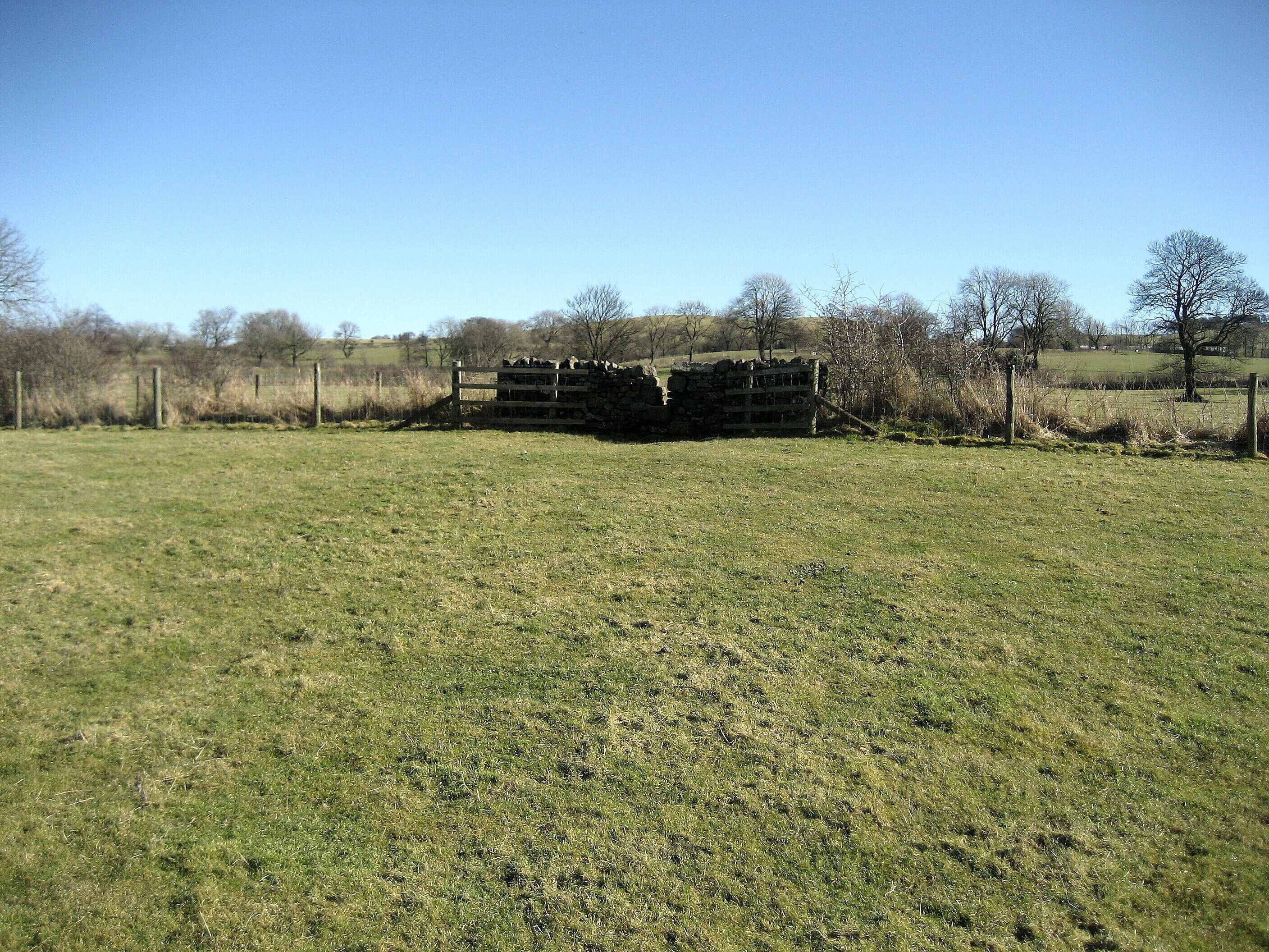 Undefined Footpath to New Close From the village of Downham this footpath crosses several fields and pastures towards New Close.