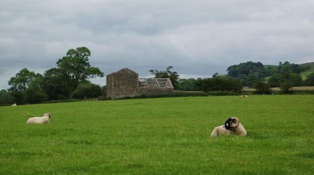 Sheep With out lying barn near to Pendleton Hall, barn needs a re-roof or else it will be a ruin very soon