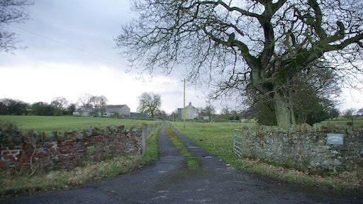 Alder House Farm. Road leading to Alder House Farm which can be seen in the distance
