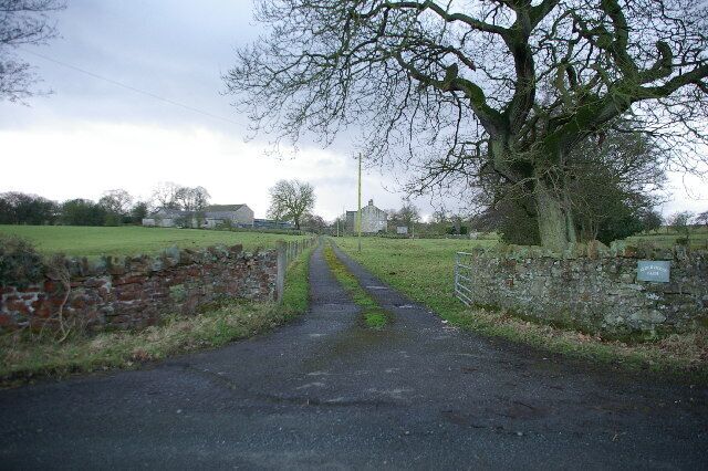 A rural road with a stone wall on one side and a large tree on the other.
