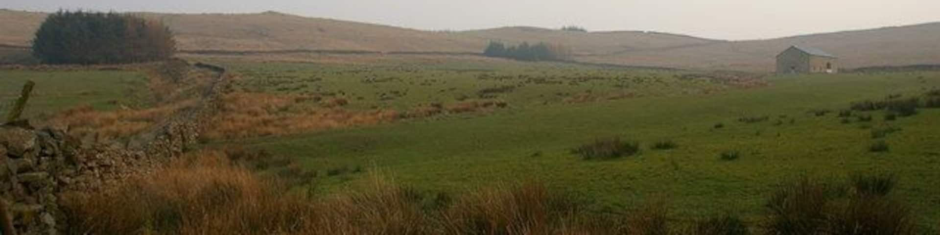Swan Barn The odd tree on the horizon is what is left, after the felling of the conifers on Grindleton Fell