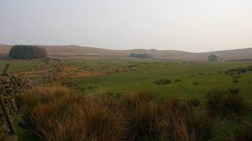 Swan Barn The odd tree on the horizon is what is left, after the felling of the conifers on Grindleton Fell