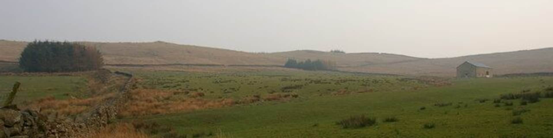Swan Barn The odd tree on the horizon is what is left, after the felling of the conifers on Grindleton Fell