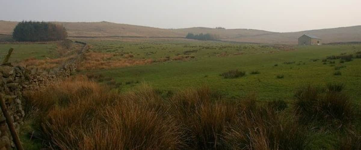 A rural landscape with rolling hills, a stone wall, and a small building in the distance.