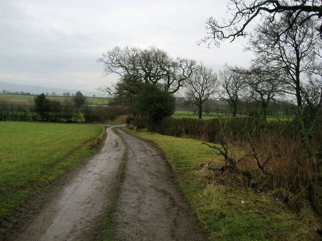 Access Track from Cow Hey This track leads from Cow Hey to Bashall Hall and used to serve as access to the Queen's Highways - but now an alternative driveway has been constructed downgrading the pictured track fit for walkers and farm vehicles only.