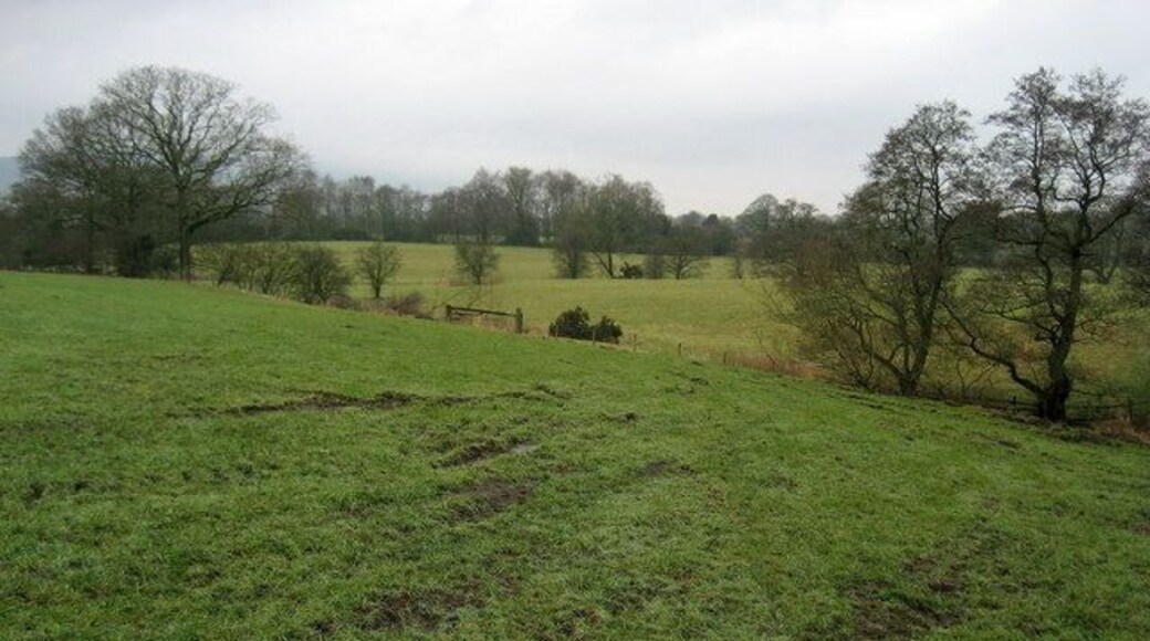 Countryside between Page Fold and Clough Bottom The countryside takes on a battered look after a month of heavy snow and hard frosts has finally thawed.