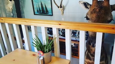 Newly relocated curiosity shop in Clitheroe. Now on Lowergate above car park. And it has a lovely cafe too ,selling pies locally sourced from Roy Porters Butchers, coffee and cakes. Lots of retro goodies and vinyl. Oh and dogs welcome. đđ¶