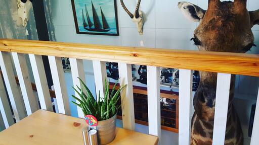 Newly relocated curiosity shop in Clitheroe. Now on Lowergate above car park. And it has a lovely cafe too ,selling pies locally sourced from Roy Porters Butchers, coffee and cakes. Lots of retro goodies and vinyl. Oh and dogs welcome. 🐕🐶