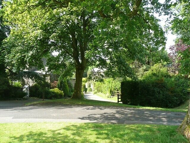 A tree-lined residential street with a paved road and a grassy area.