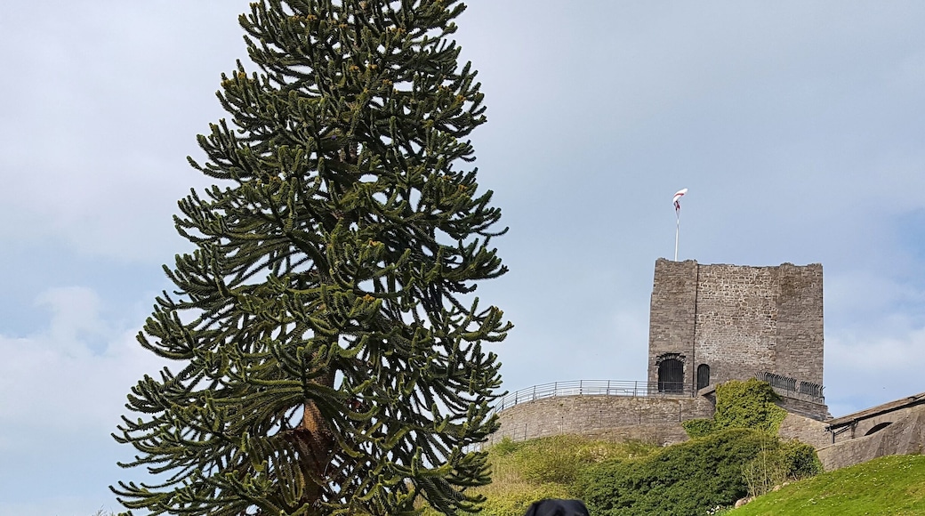 Clitheroe Castle is the second smallest Castle in England. The grounds are great for picnics.Its a dog friendly park. :)