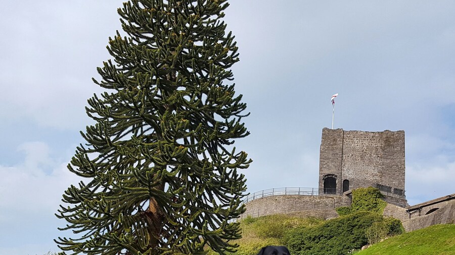 Clitheroe Castle is the second smallest Castle in England. The grounds are great for picnics.Its a dog friendly park. :)