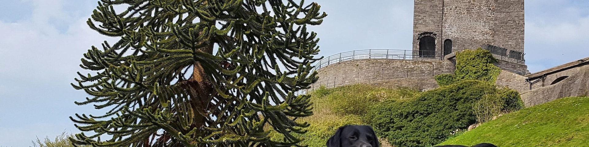 Clitheroe Castle is the second smallest Castle in England. The grounds are great for picnics.Its a dog friendly park. :)