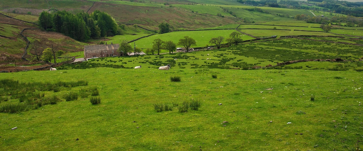 Rolling green hills, a stone house, and sheep grazing.