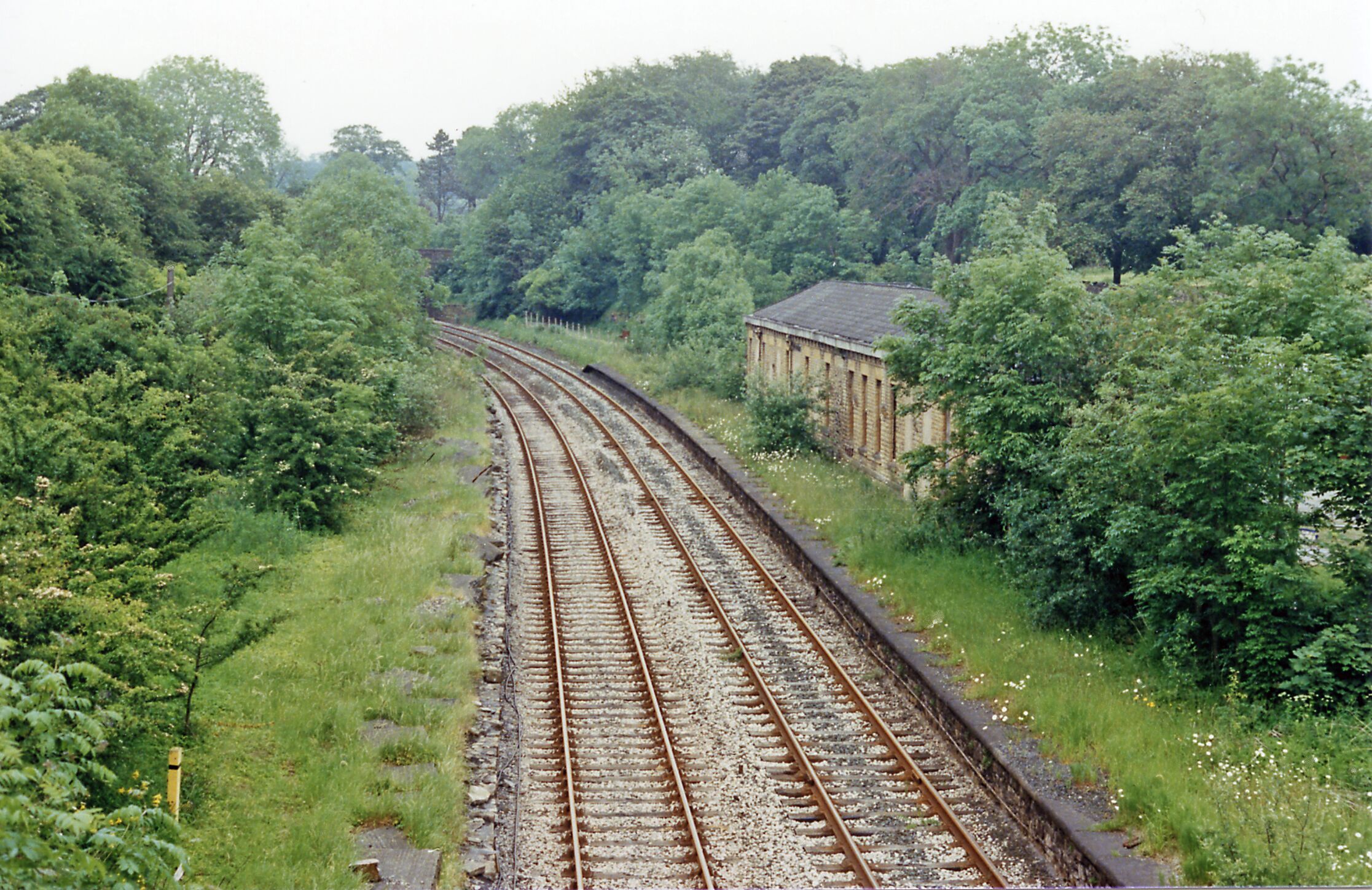 Chatburn station (remains). View NE, towards Hellifield: ex-L&Y Blackburn - Hellifield secondary main line. The station and line were closed to passenger services on 10/9/62, but remained open for goods until 23/3/64. In 1994 services were restored Blackburn - Clitheroe, infrequently on to Hellifield and the through route has been maintained intact for some freight, and for diverted or Special passenger trains, also for two Blackpool - carlisle passenger trains on Summer Sundays!