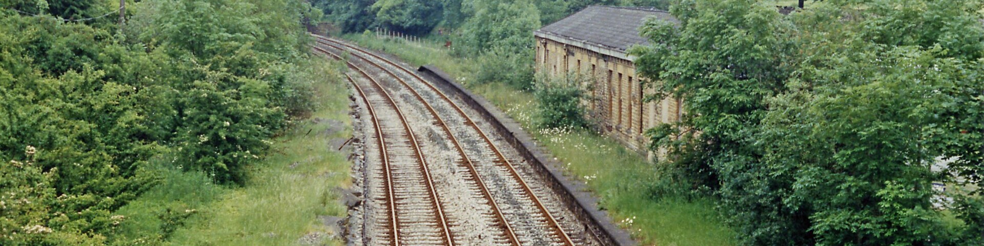 Vías de tren serpenteando por un área boscosa, con un edificio a la derecha.