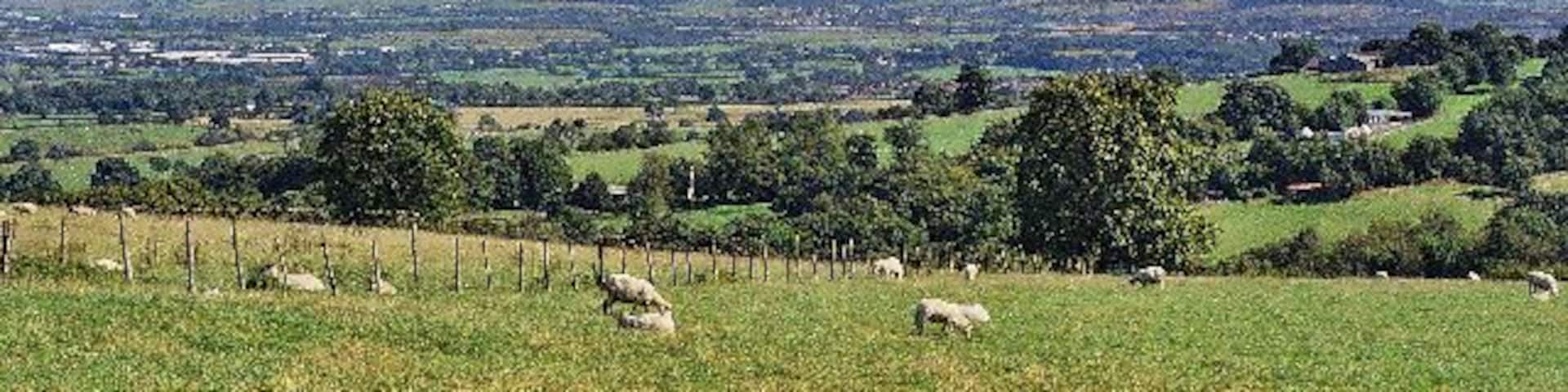 View from Shawcliff Lane. E toward Hameldon Hill