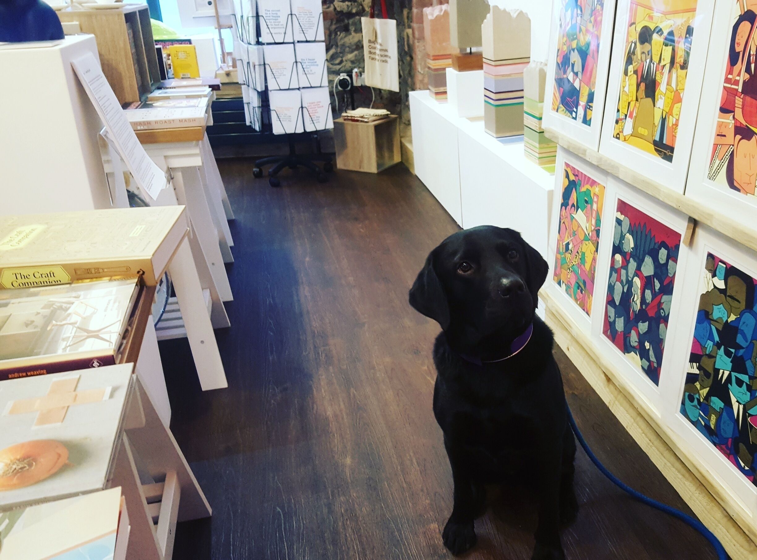 We love this independent art, book and gift shop in Clitheroe...especially as Hugo is welcome too. :) 