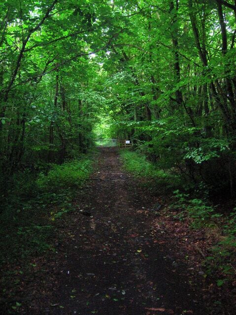 Brotherhood Woods Following the footpath towards the gate from the A2 before the path changes direction and heads south through Fishpond Woods.