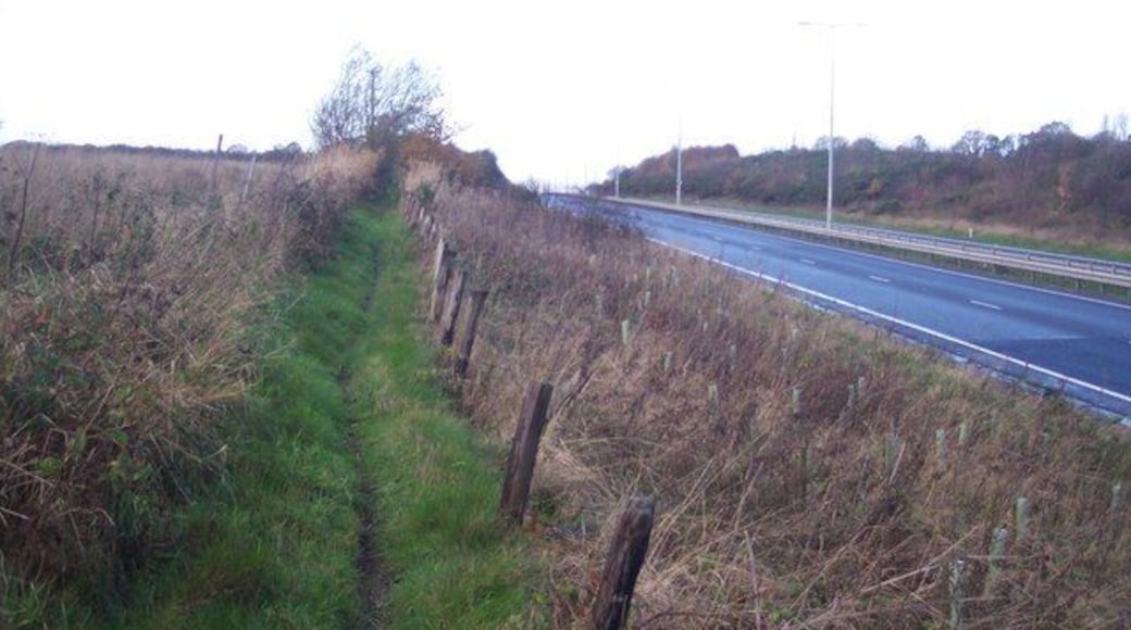 Footpath beside the A2 Dual Carriageway This path leads from Canterbury Road to Winterborne Wood.