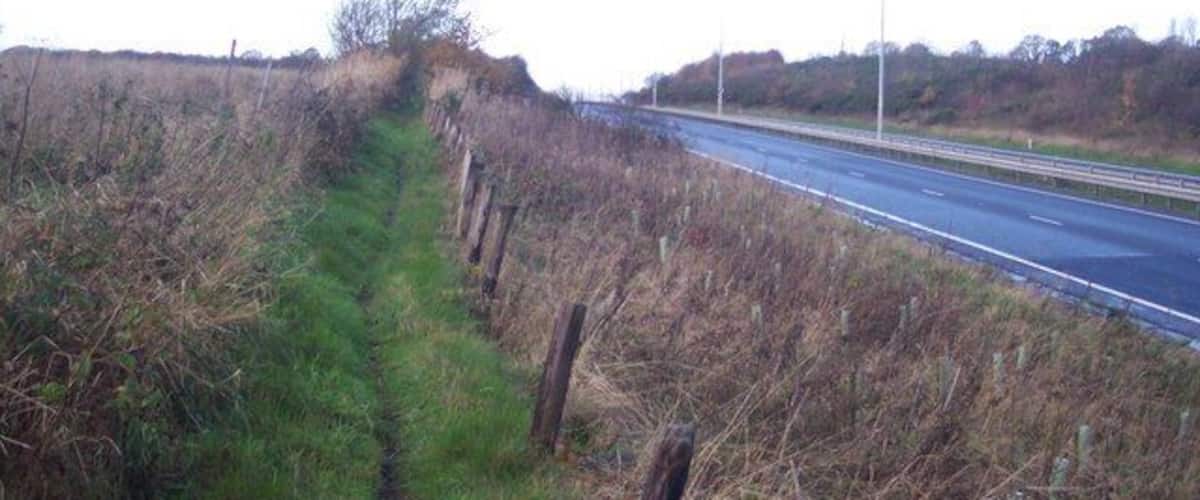 A rural road bordered by a fence and vegetation.