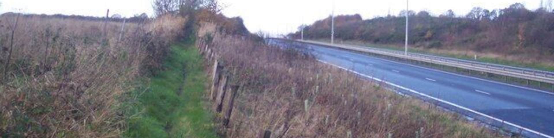 A rural road bordered by a fence and vegetation.