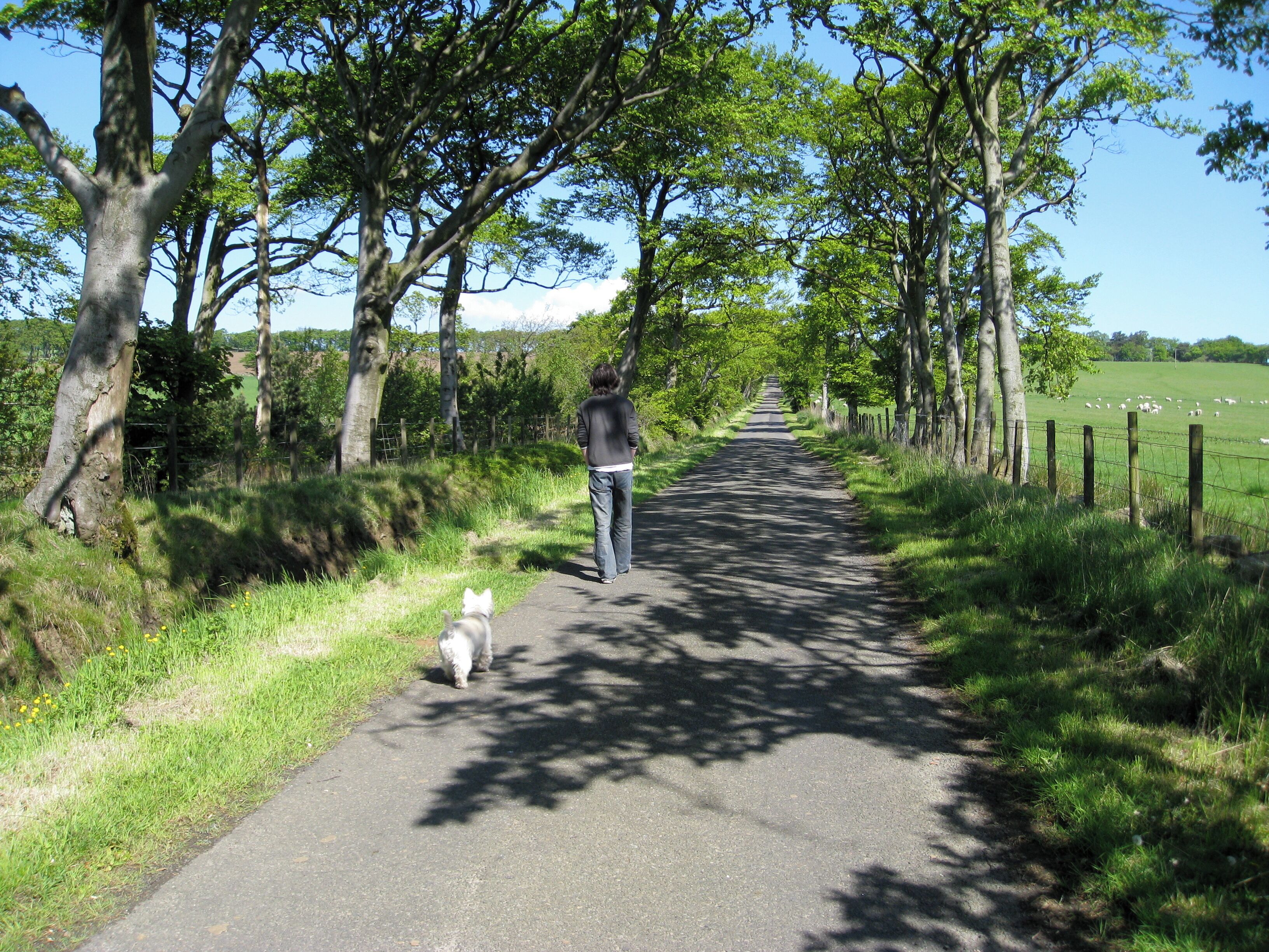 Morning walk West of The Quarter farm