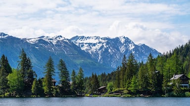 Um lago rodeado por árvores perenes e montanhas nevadas ao fundo.