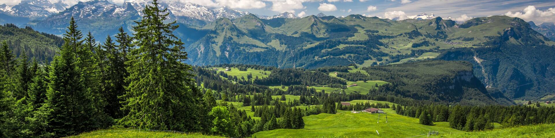 Beautiful summer landscape of Switzerland with Swiss Alps and green meadows