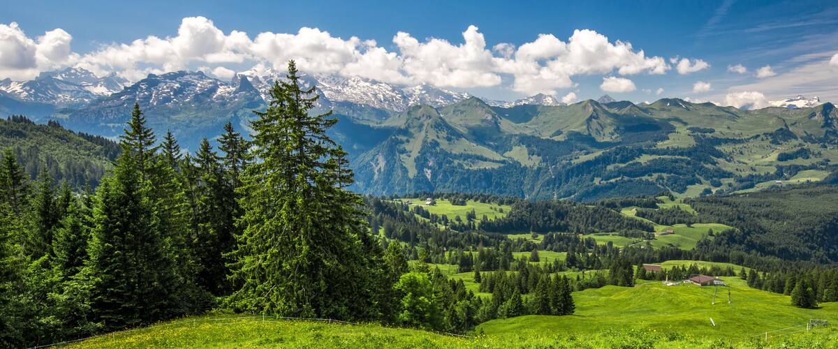 A mountainous landscape with green valleys, trees, and snow-capped peaks in the background.