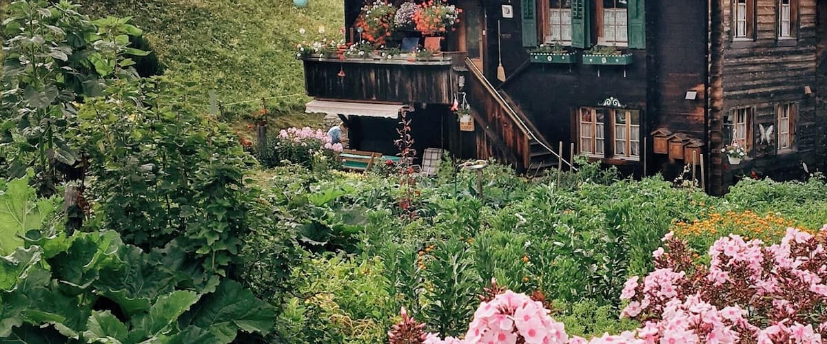 Mühlebach - the oldest village of Switzerland... I love the wooden houses that are burned black because of the sun. And yes - we get a lot of sun here 900 kilometres away from Hamburg. .
.
.
.
#mühlebach #switzerland #alpes #mountain #wallis #valais #schweiz