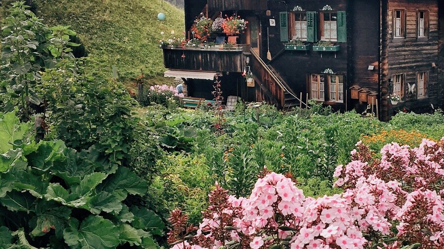 Mühlebach - the oldest village of Switzerland... I love the wooden houses that are burned black because of the sun. And yes - we get a lot of sun here 900 kilometres away from Hamburg. .
.
.
.
#mühlebach #switzerland #alpes #mountain #wallis #valais #schweiz
