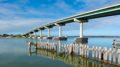 A bridge over calm water with a clear sky.