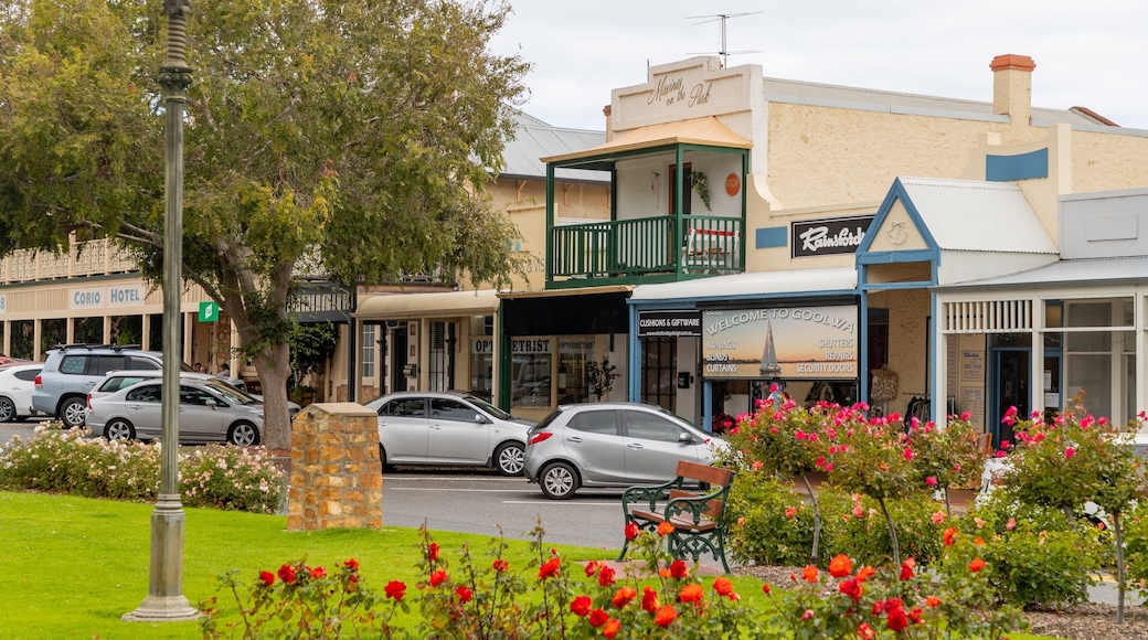 Goolwa featuring flowers, wildflowers and a small town or village