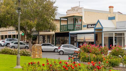 Goolwa featuring flowers, wildflowers and a small town or village